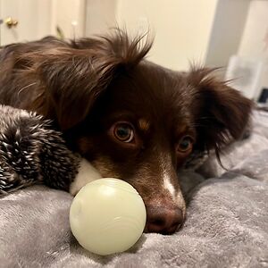 stephaniemarcuson avatar