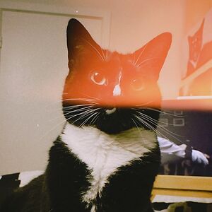 death-message avatar