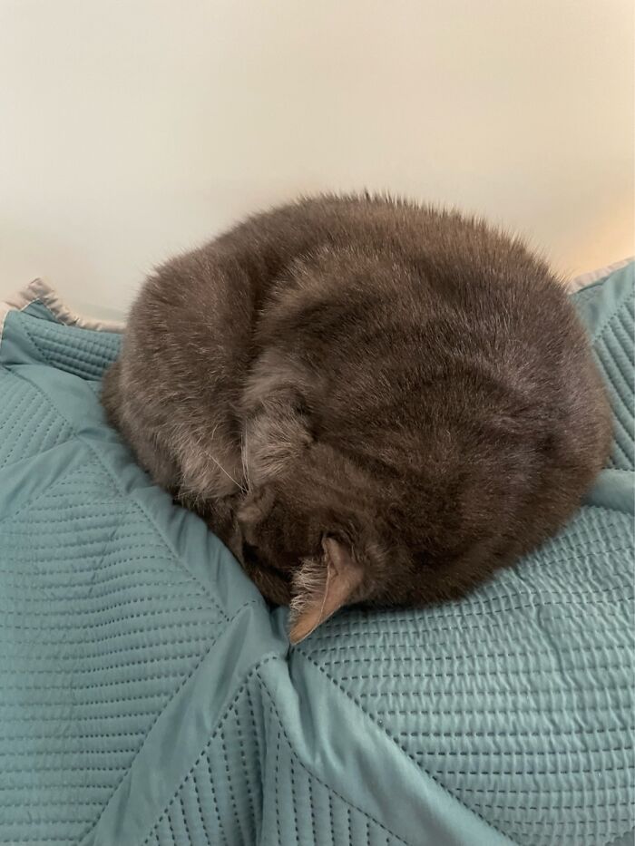 If I Can’t See You, You Can’t See Me!