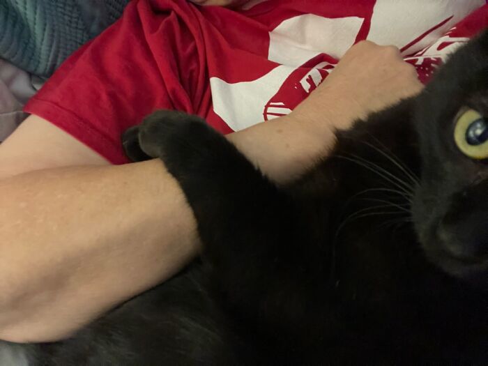 I Was Gone For Two Weeks And Now This One Won’t Let Go Of Me