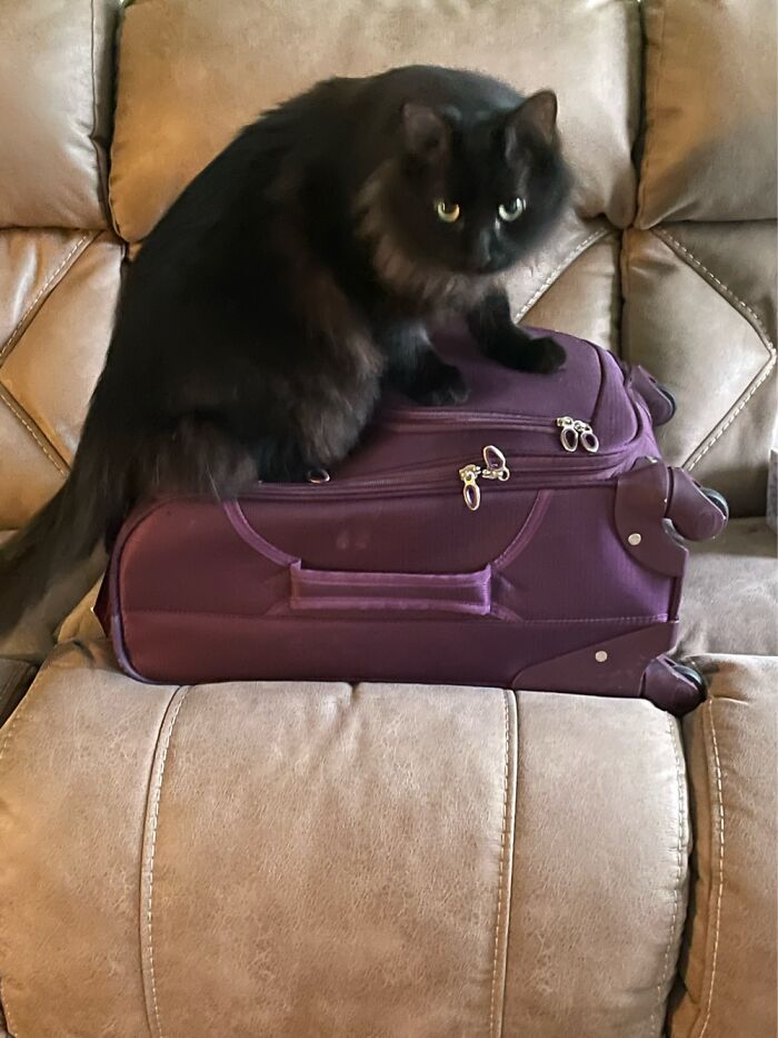 You Are Not Leaving Me Again!!!!