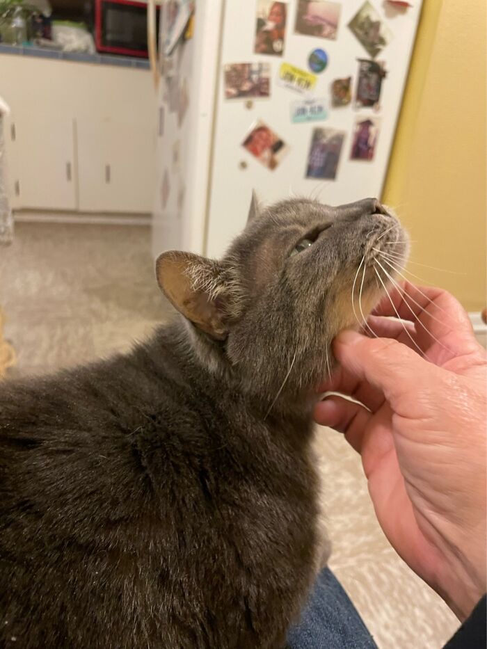 Oh Yeah! That’s The Spot! Don’t Stop! Don’t Stop!