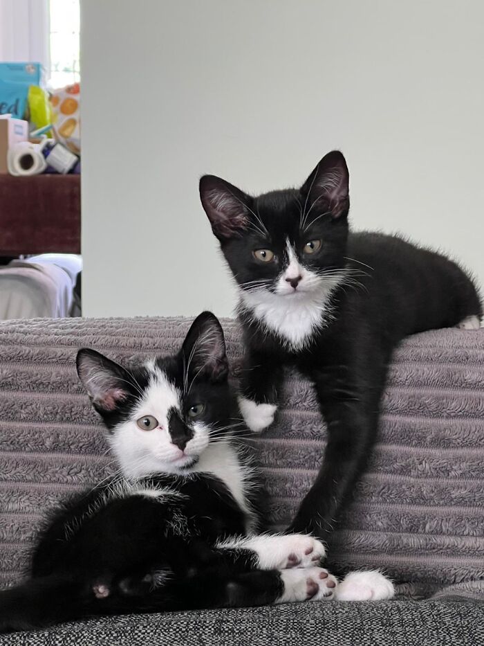 Ash And Ripley ❤️