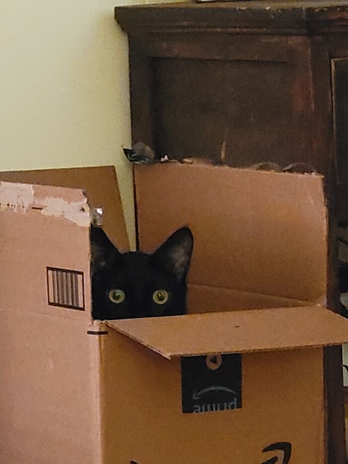 Another Shot Of Sweet Sammie