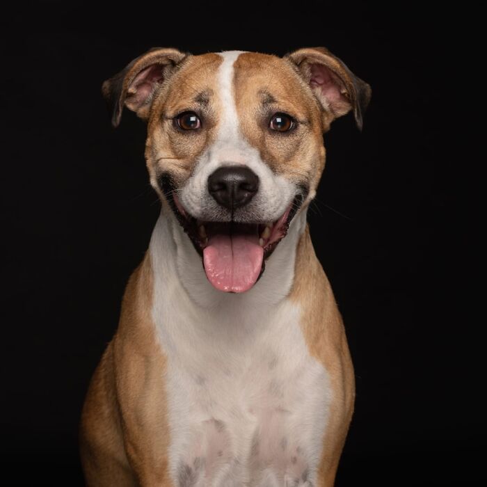 Professionally Taken By The Talented Portrait Photographer, Emma O’brien