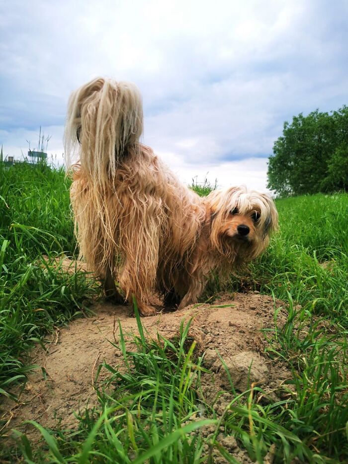 Kiwi. Like A Fruit. ❤️