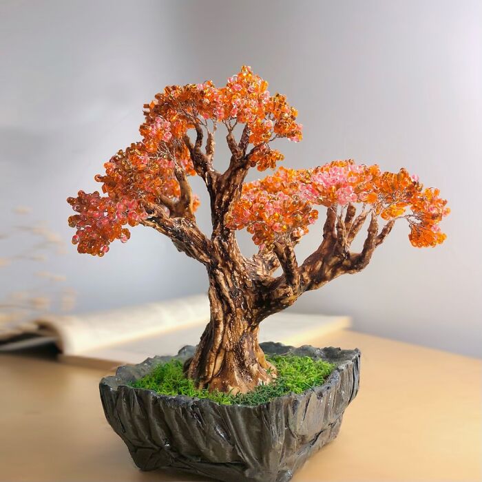 Trees That Have Become An Integral Part Of My Life (6 Pics)