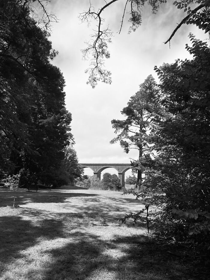 Malsmbury Viaduct - Black & White