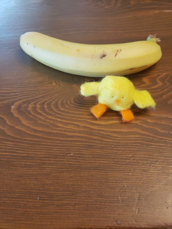 His Name Is Wallace. Banana For Scale
