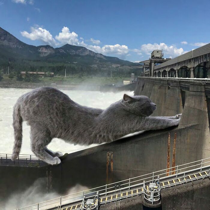 The U.S. Army Corps Of Engineers' 2023 Calendar Is An Entertaining Combination Of Engineering, Cats And Comedy