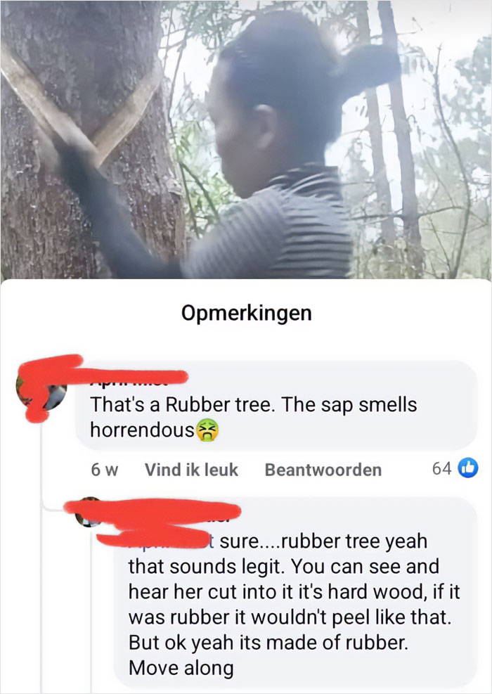 Someone Has Never Heard Of Rubber Wood