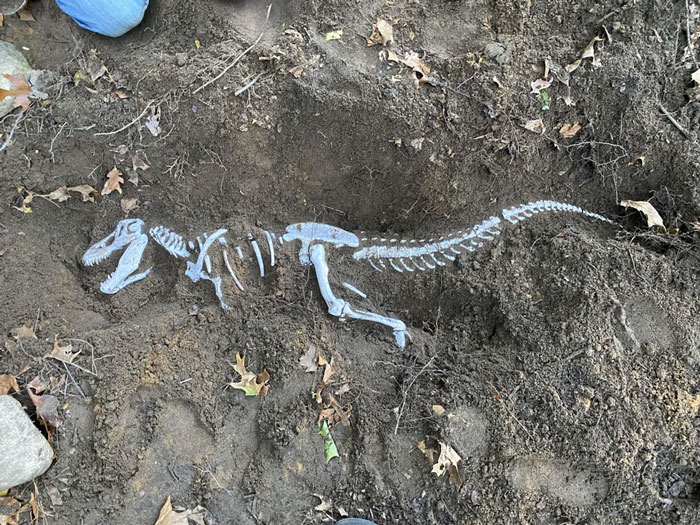 Imprimí un T-Rex de 1,20 m y lo enterré en mi jardín para que mis sobrinas lo descubrieran y excavaran