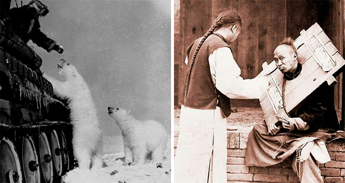 50 Important Historical Images That Might Change Your Perspective On Things, As Shared By This Instagram Page