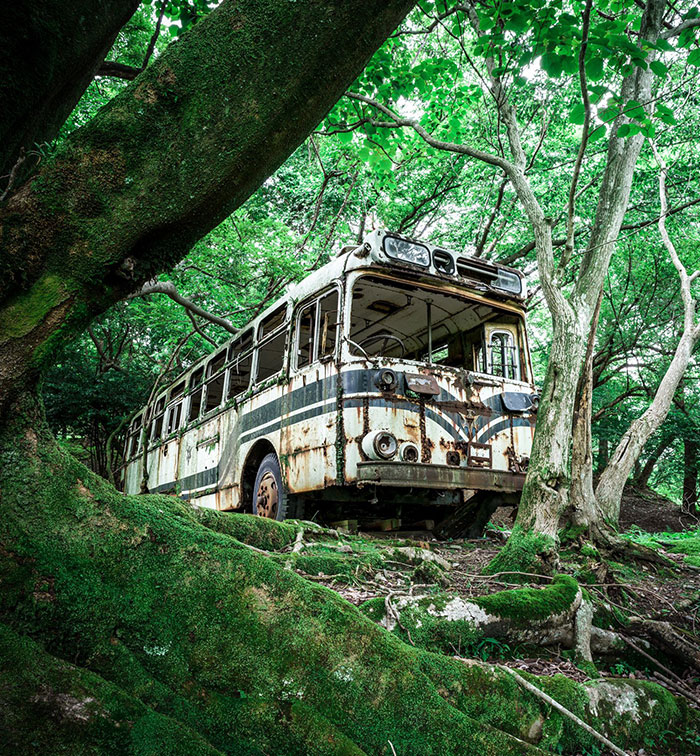 Autobús para dormir en un bosque japonés