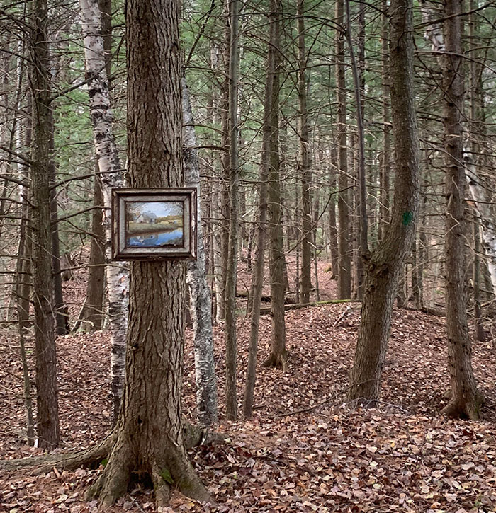 Encontré una pintura al azar en medio del bosque