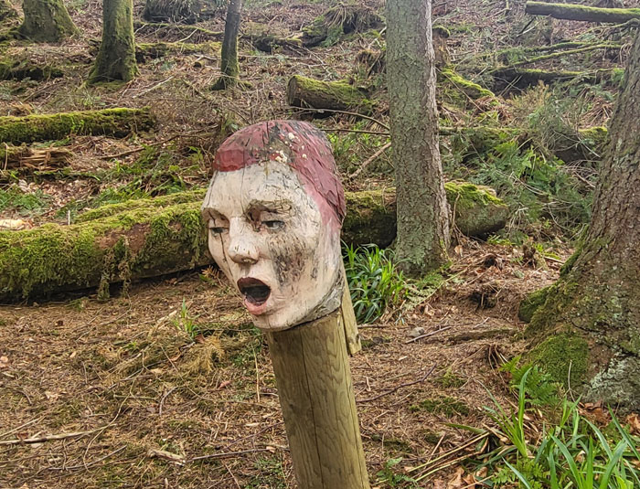 This Was Found In The Middle Of The Woods