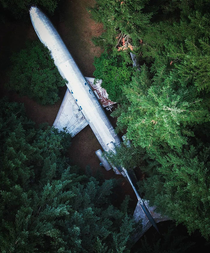 There Is A Plane In The Middle Of The Forest In Oregon
