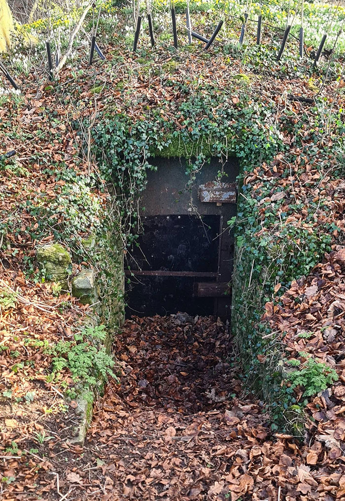Found This Weird Underground Door In The Woods. Thank God It Was Daylight