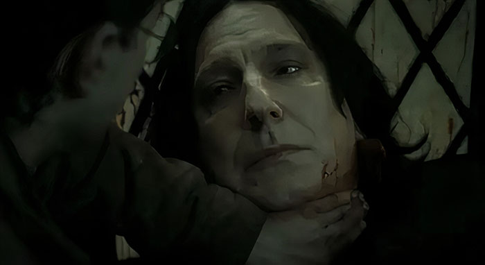 Alan Rickman In Harry Potter Deathly Hallows Part 1 (2010)