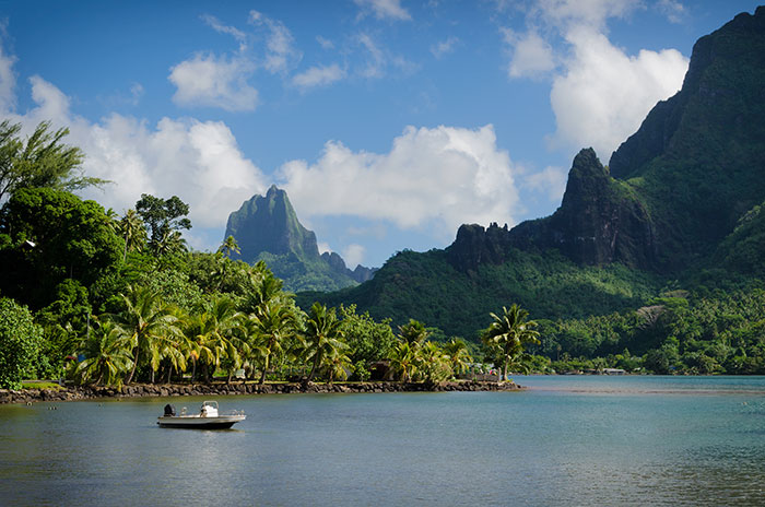 Boat in a bay with mountain in the background in a green jungle landscape