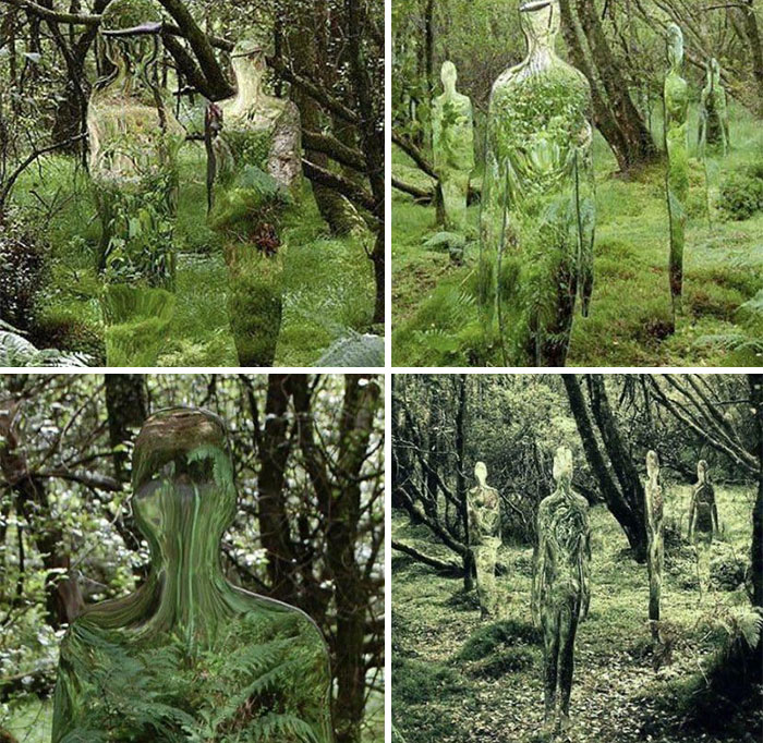 Esculturas espejo que reflejan el bosque, del artista escocés Rob Mulholland