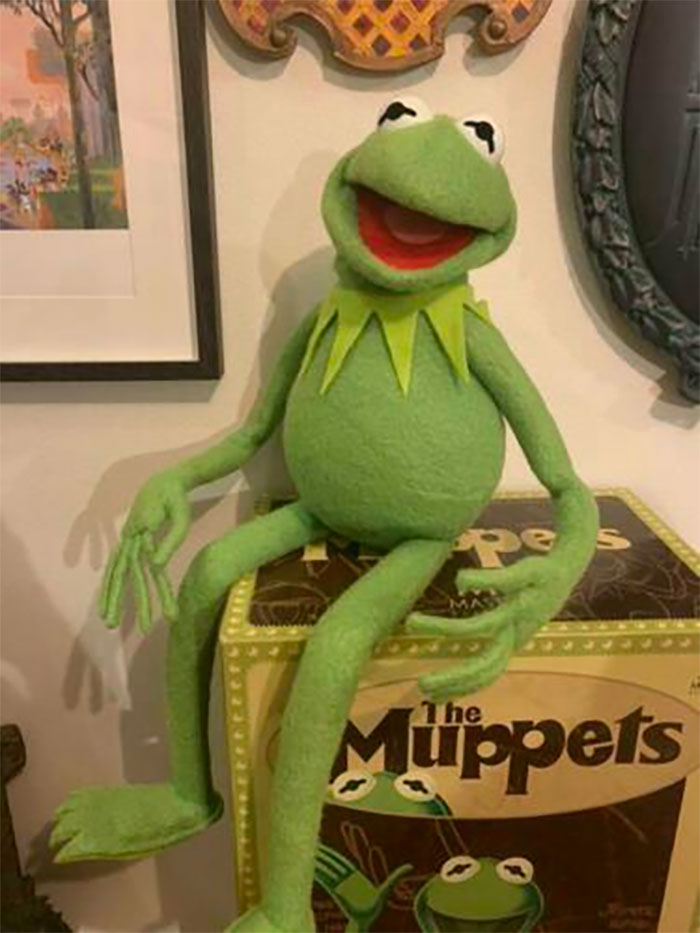 Kermit The Frog plush doll sitting on the box
