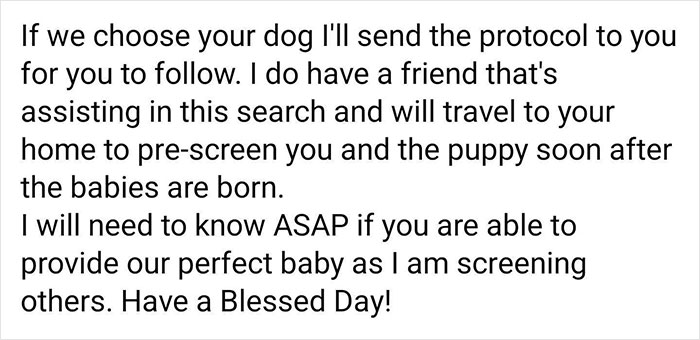 Woman Who Has Tried 5 Puppies Says Every Single One ‘Failed’, And People Can See Why After She Posts Her Delusional Requirements Woman Who Has Tried 5 Puppies Says Every Single One ‘Failed’, And People Can See Why After She Posts Her Delusional Requirements