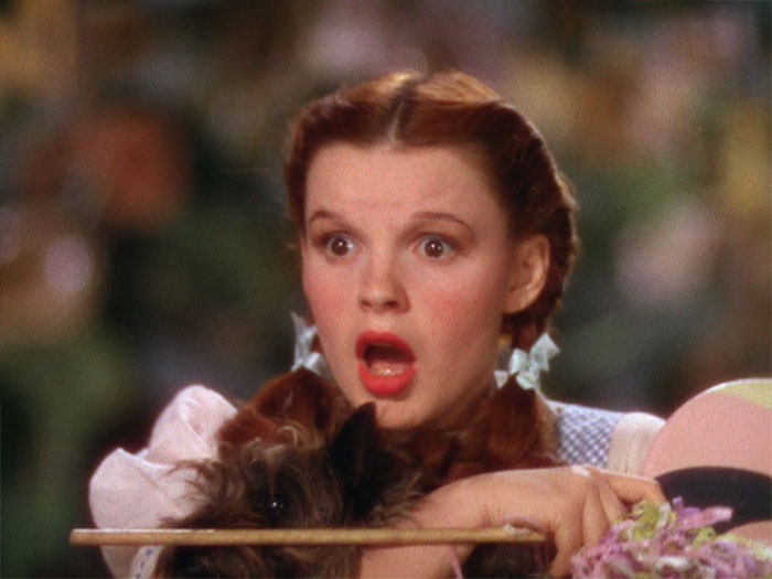 The Wizard Of Oz - Judy Garland
