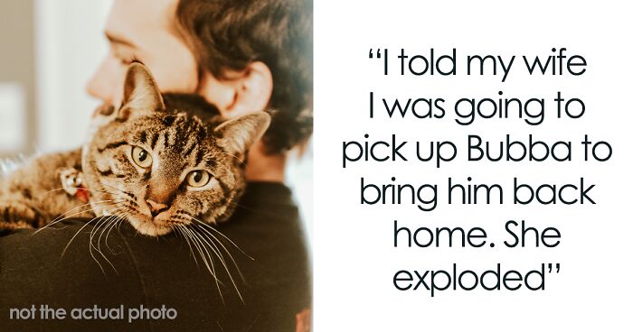 “Her Or The Cat”: Man Asks For Advice After Wife Who Went Through Stillbirth Refuses To Allow His Beloved Pet Back In The House