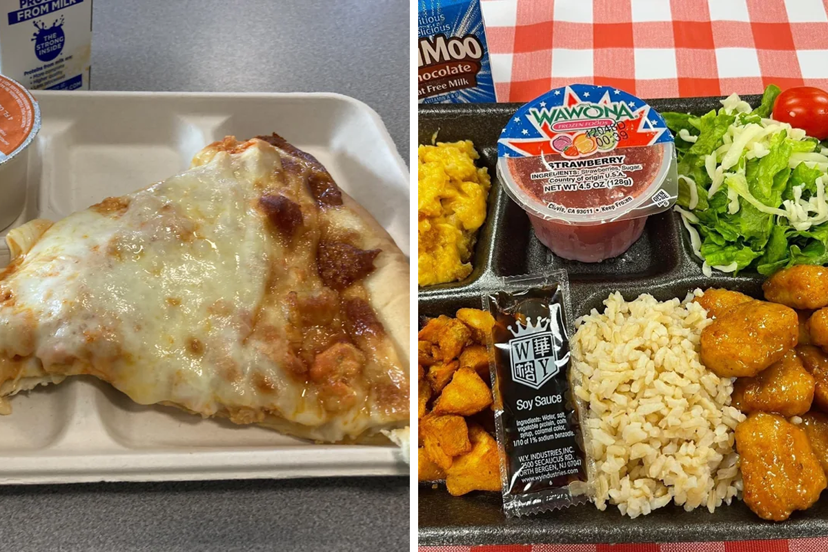 The Verdict on Packed School Lunches: Parents vs Kids