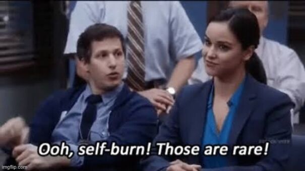self-burn-brooklyn-nine-nine-63d46118b8ccb.jpg