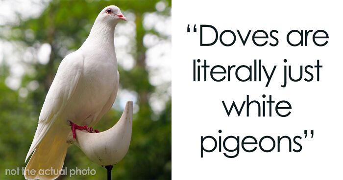 People Share What Things They Learned Embarrassingly Late In Life (30 Posts)