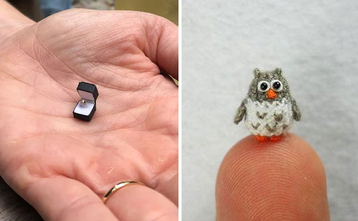 35 Times People Came Across Tiny Objects That Were So Cute, They Just Had To Share Them In This Dedicated Online Group