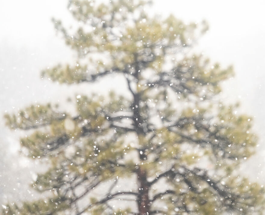 I Photographed A Stormy Retreat: A Snowy Tiny Home Adventure (19 Pics)