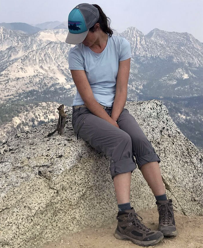 This Chipmunk Looking Up At My Girlfriend On Top Of Eagle Cap Summit, 9570 Ft