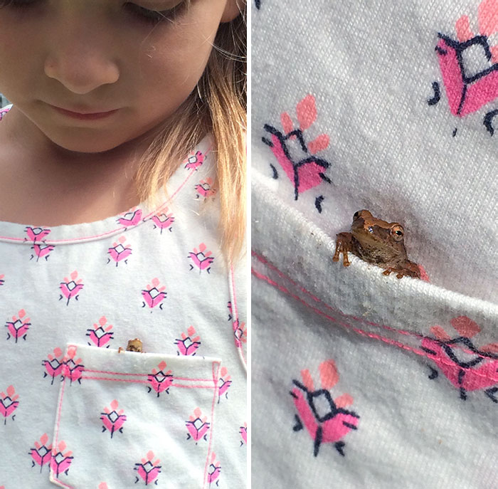 Found This Little Guy Hiding In My Daughter's Shirt