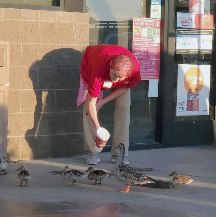 On A Road Trip And Saw This Lovely Old Lady Giving Water To A Family Of Ducks Who Are Miles From A Pond On A 101⁰ Day