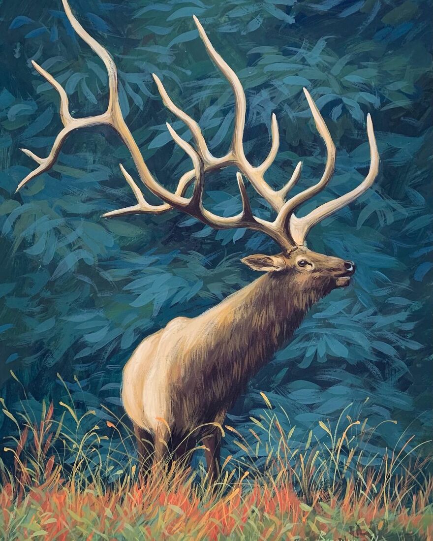Elk In Green Forest
