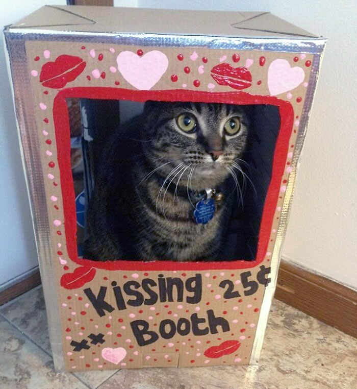 Valentine's Day Special. 25 Cent Kitty Kisses