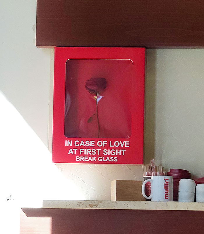 Happy Valentine's Day From My Coffee Shop