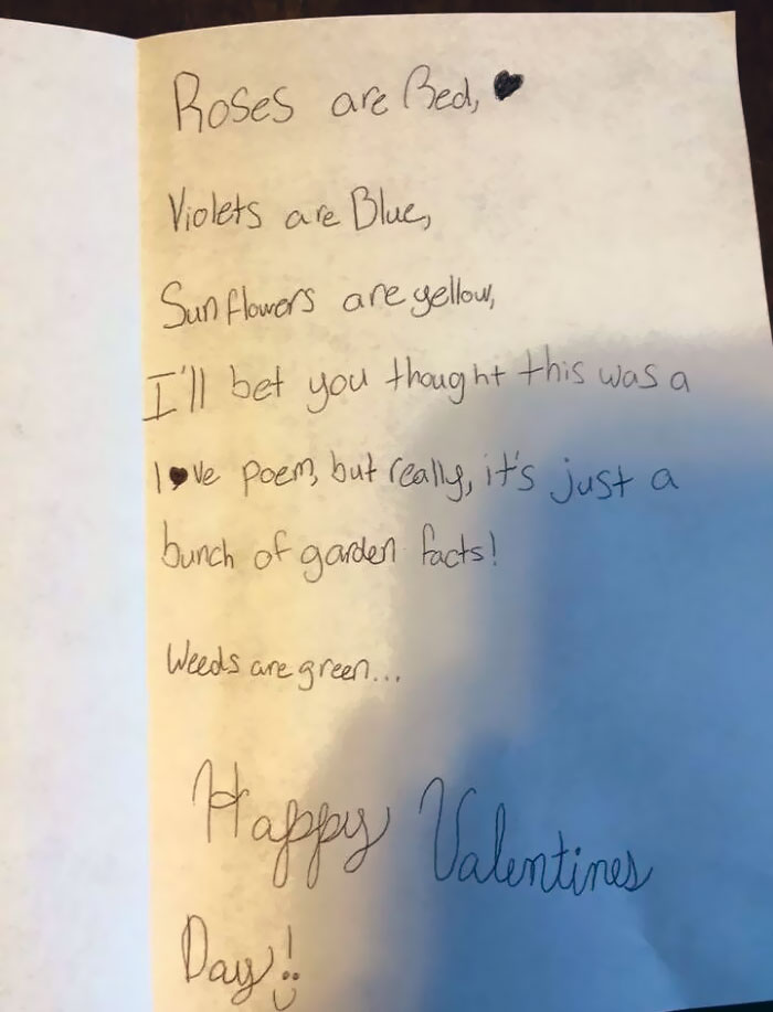 My Niece's Non-Traditional Valentine's Day Card