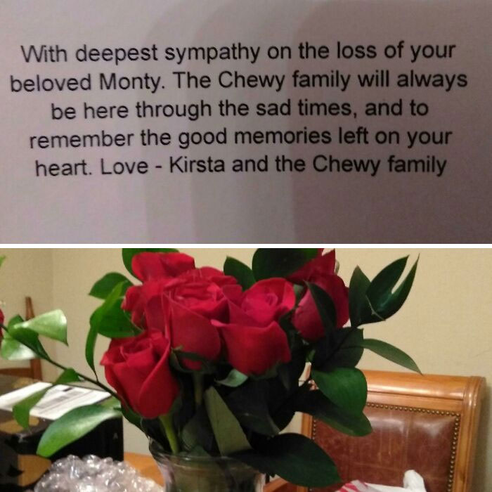 Our Dog Died After 18 Years Of Being A Good Boy. My Mother Bought All His Food From Chewy And She Received This On Valentine’s Day, Two Weeks After He Was Put Down