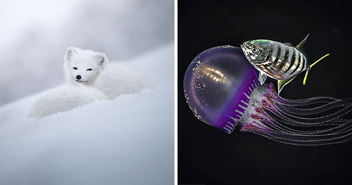 Here Are The 30 Most Powerful Images Of The Budapest International Photo Awards 2022