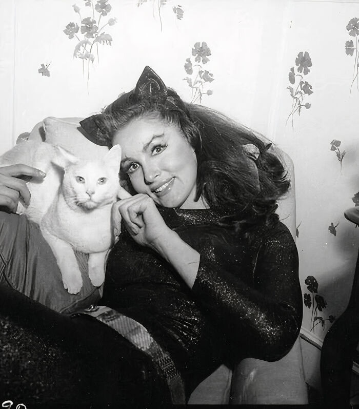 For The Promotion Of The Batman TV Series (1966 - 1968), American Actress Julie Newmar Posed With A Beautiful Feline, Portraying Catwoman, Her Character In The Show