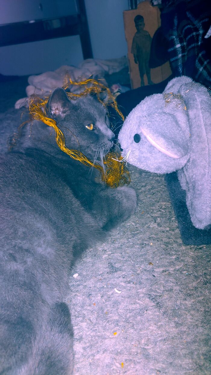 She Got A New Hairdo And Thinks She's Too Cool For Me Now