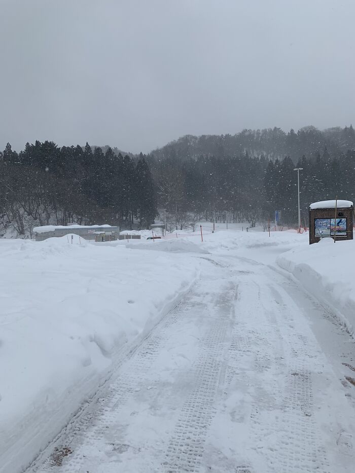Blizzard In Aomori