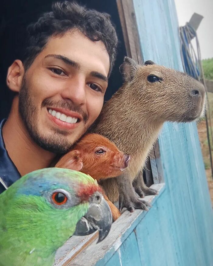 This Man From Brazil Who Lives On A Farm Shares A Beautiful Bond With A Rescued Capybara This Man From Brazil Who Lives On A Farm Shares A Beautiful Bond With A Rescued Capybara