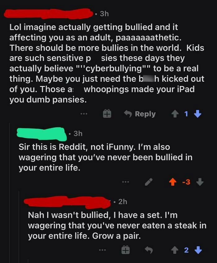 “There Should Be More Bullies”