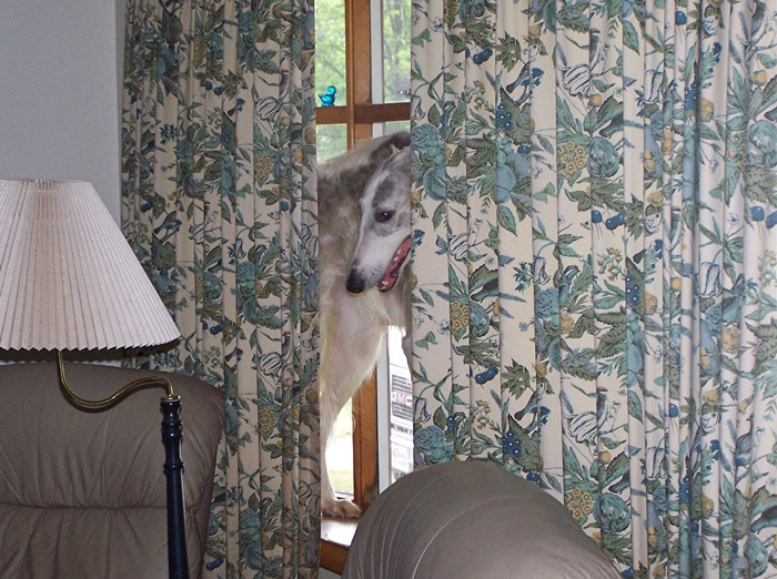 Woman Is Annoyed Her Neighbor Comes To Her Landing And Lurks, So She Swings Open The Door, Frightening Her And Causing Her To Fall Woman Is Annoyed Her Neighbor Comes To Her Landing And Lurks, So She Swings Open The Door, Frightening Her And Causing Her To Fall