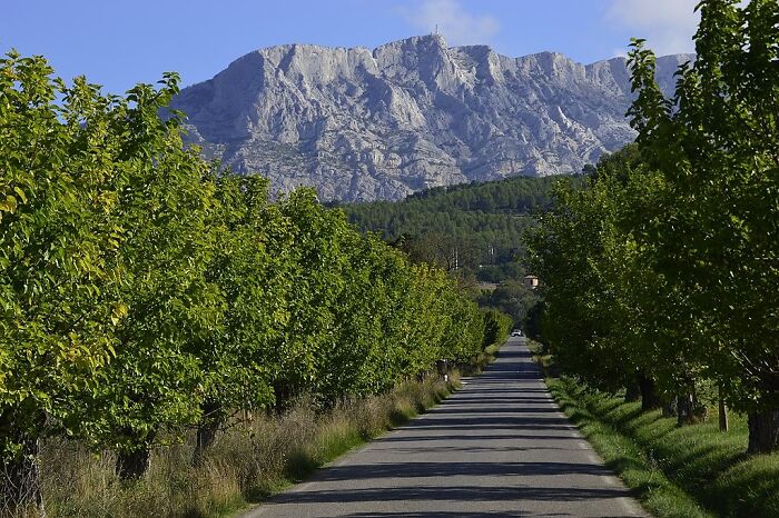 Picture of Provence road with trees and mountains